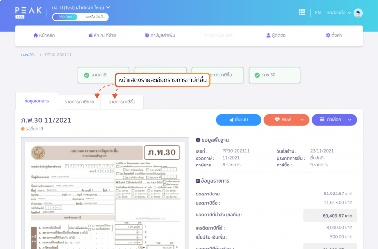 ตัวอย่างหน้ารายละเอียดแบบภาษี และ Tab รายการภาษีที่ยื่น