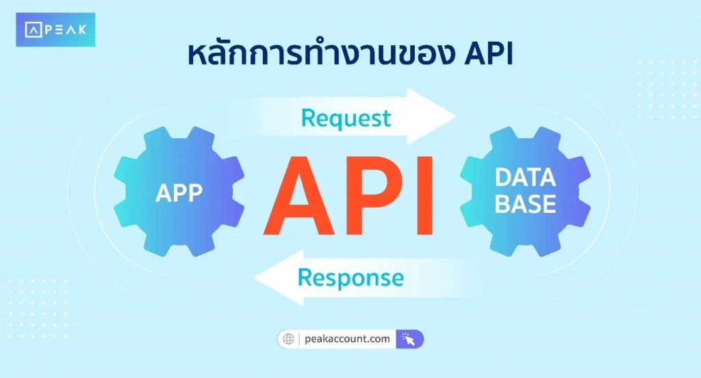 หลักการทำงานของ API