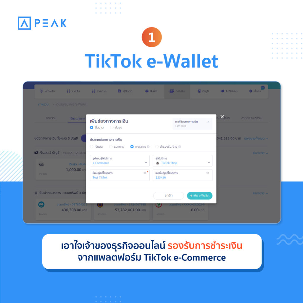 TikTok e-Wallet