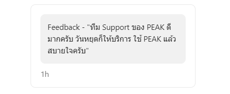 ทีมสนับสนุนของ PEAK ว่าดีมาก แม้วันหยุดก็ให้บริการ ทำให้รู้สึกสบายใจในการใช้บริการ