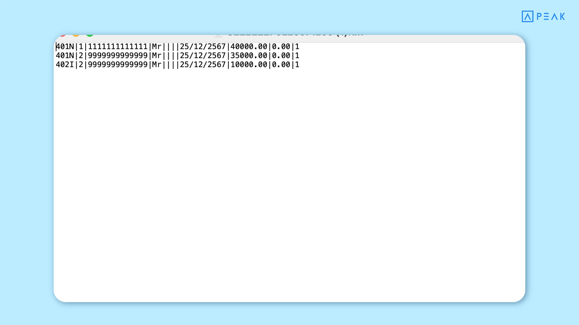 Example of a Text File with income type 40(2).