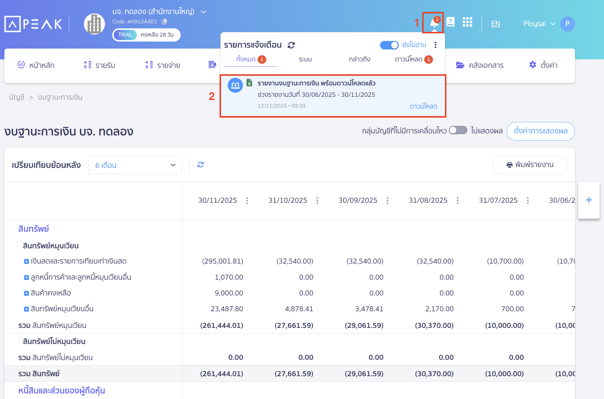 printing-financial-position-report-5 กรณีเลือก "ดาวน์โหลด"