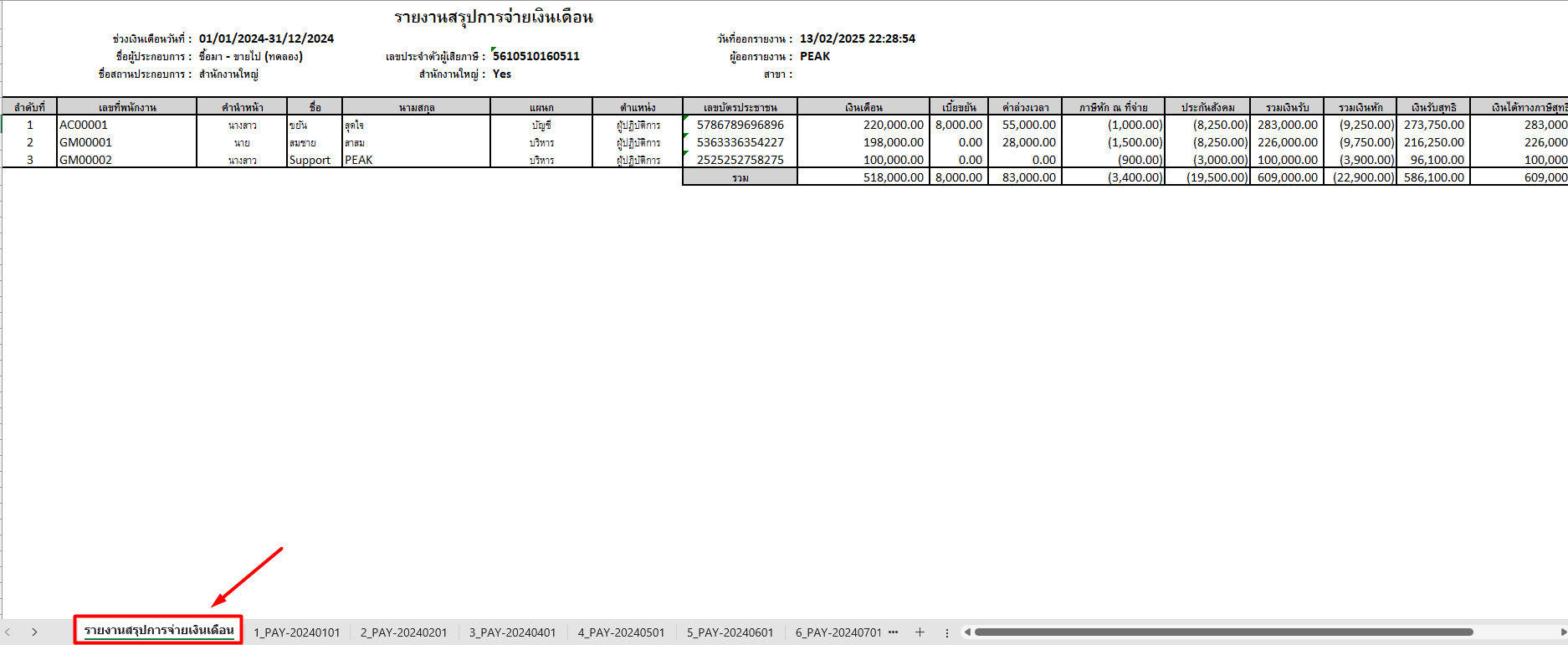 ตัวอย่าง รายงานข้อมูลที่แสดงสรุปการจ่ายเงินเดือนในรูปแบบภาพรวม ใน Excel