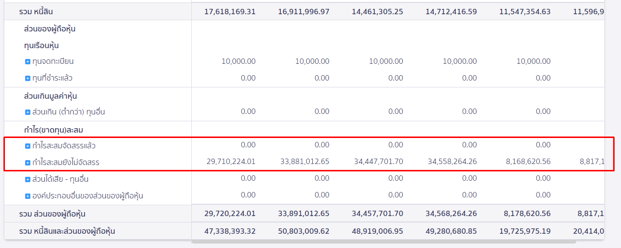 ตัวอย่าง กำไรสะสมที่จัดสรรแล้วและยังไม่จัดสรร ใน PEAK
