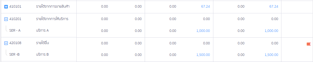 รูปภาพแสดงผลการดูรายงานงบทดลองทางบัญชีเมื่อเลือกใช้เลขที่บริการ/รหัสบริการ