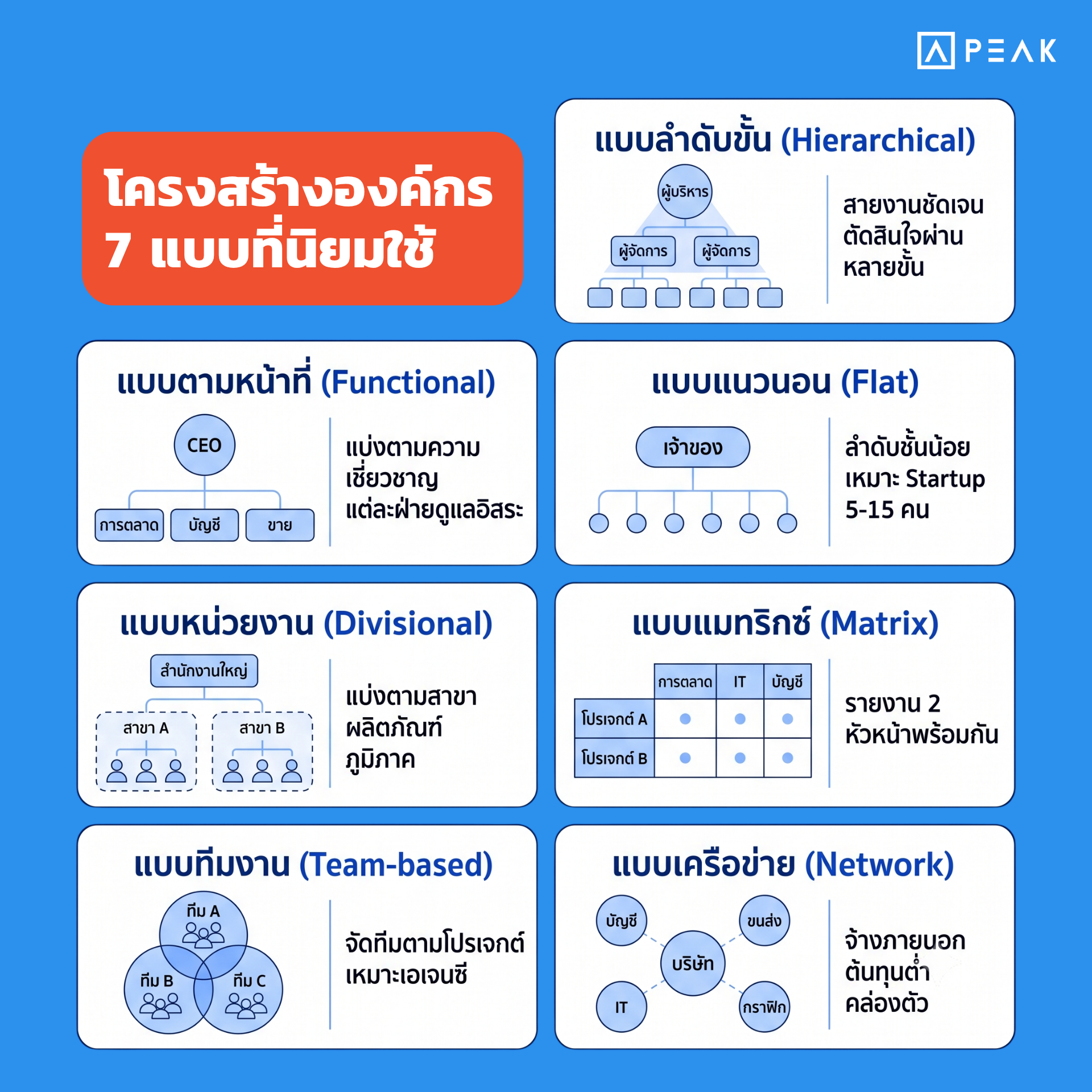 โครงสร้างองค์กรที่นิยม